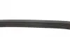 5PK890 Ремень генератора BMW 3/5 90-00 / Ford Focus 2.5 05-12 DAYCO підбір по vin на Brocar