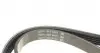 5PK890 Ремень генератора BMW 3/5 90-00 / Ford Focus 2.5 05-12 DAYCO підбір по vin на Brocar
