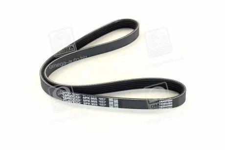 5PK955 Ремень поликлин. (пр-во DAYCO) DAYCO подбор по vin на Brocar