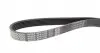 6PK1025 Ремень генератора Peugeot Boxer 2.5D/TD 94-02 (ALT,PS) DAYCO підбір по vin на Brocar