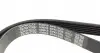 6PK1035 Ремінь генератора VW Caddy 1.9D/SDI -03 (WP,TP) DAYCO підбір по vin на Brocar