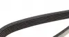 6PK1035 Ремінь генератора VW Caddy 1.9D/SDI -03 (WP,TP) DAYCO підбір по vin на Brocar