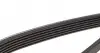 6PK1050 Ремень генератора VW Caddy III/Golf III/Passat/T4 1.9D/TD (TP) DAYCO підбір по vin на Brocar