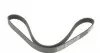 6PK1100 Ремень генератора Citroen Jumper/Peugeot Boxer 2.0 94-/VW Caddy 1.4 04- DAYCO підбір по vin на Brocar