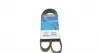 Ремень генератора Citroen Jumper 1.9TD 94-02 (ALT,PS) 6PK1130