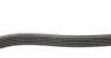 6PK1130 Ремень генератора Citroen Jumper 1.9TD 94-02 (ALT,PS) DAYCO підбір по vin на Brocar