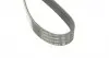 6PK1130 Ремень генератора Citroen Jumper 1.9TD 94-02 (ALT,PS) DAYCO підбір по vin на Brocar