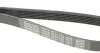 6PK1130 Ремень генератора Citroen Jumper 1.9TD 94-02 (ALT,PS) DAYCO підбір по vin на Brocar