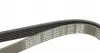 6PK1137 Ремінь генератора VW Caddy/T5 1.9TDI DAYCO підбір по vin на Brocar