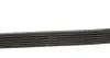 6PK1152 Ремень генератора Peugeot Boxer 1.9TD DAYCO підбір по vin на Brocar