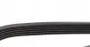 6PK1165 Ремень генератора Citroen Jumper/Peugeot Boxer 3.0HDI DAYCO підбір по vin на Brocar