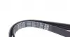6PK1173 Ремень генератора Citroen Jumper/Fiat Ducato 2.0/2.2HDi/JTD 02- DAYCO підбір по vin на Brocar