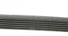6PK1215 Ремінь генератора Peugeot Expert/Citroen Jumpy 2.0HDi 07- DAYCO підбір по vin на Brocar