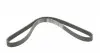 6PK1215 Ремінь генератора Peugeot Expert/Citroen Jumpy 2.0HDi 07- DAYCO підбір по vin на Brocar