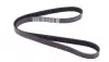 6PK1285 Ремінь генератора VW Golf/VW Bora 2.3 -00 DAYCO підбір по vin на Brocar