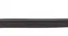 6PK1388 Ремень генератора Citroen Berlingo/Fiat Scudo/Peugeot Partner 1.9D 98- DAYCO підбір по vin на Brocar