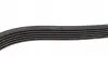 6PK1435 Ремінь генератора Citroen Berlingo/Fiat Scudo 1.9D (1868) DAYCO підбір по vin на Brocar