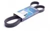 Ремінь генератора Ford Connect (-AC)/Opel Combo 1.2/1.4i -01 6PK1462