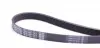 6PK1462 Ремень генератора Ford Connect (-AC)/Opel Combo 1.2/1.4i -01 DAYCO підбір по vin на Brocar