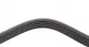 6PK1520 Ремінь генератора Ford Focus 1.8 TDCi 05-12/Skoda Octavia 1.4 i 99-01 DAYCO підбір по vin на Brocar