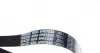 6PK1530 Ремінь генератора Fiat Doblo1.3-1.6 D 10-/Opel Astra F/Corsa B/Vectra B 1.4-1.8/ 94-03 DAYCO підбір по vin на Brocar