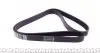 6PK1545 Ремінь генератора Skoda Octavia/VW Golf IV 96-10 DAYCO підбір по vin на Brocar