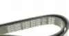 6PK1558 Ремінь генератора Citroen Berlingo 1.6 00-08/ Nemo 1.4i 08- DAYCO підбір по vin на Brocar