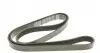 6PK1558 Ремінь генератора Citroen Berlingo 1.6 00-08/ Nemo 1.4i 08- DAYCO підбір по vin на Brocar