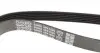 6PK1635 Ремінь генератора VW LT 2.8TDI (-AC) DAYCO підбір по vin на Brocar