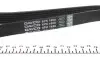 6PK1650 Ремень генератора Renault Megane I/Ford Transit 2.0 94-00 DAYCO підбір по vin на Brocar