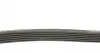 6PK1710 Ремінь генератора Citroen Berlingo 1.6HDI (+AC) DAYCO підбір по vin на Brocar
