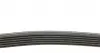 6PK1755 Ремень генератора VW LT 2.5TDI 96-01/Peugeot Expert 1.9D/2.0HDI 98- DAYCO підбір по vin на Brocar