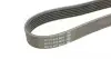 6PK1755 Ремень генератора VW LT 2.5TDI 96-01/Peugeot Expert 1.9D/2.0HDI 98- DAYCO підбір по vin на Brocar