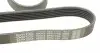 6PK1755 Ремень генератора VW LT 2.5TDI 96-01/Peugeot Expert 1.9D/2.0HDI 98- DAYCO підбір по vin на Brocar