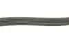 6PK1760 Ремінь генератора MB W202/203/VW/Audi 2.4/2.8i DAYCO підбір по vin на Brocar