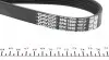 6PK1930 Ремінь генератора Audi A8 3.0i 03-06 DAYCO підбір по vin на Brocar