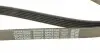 6PK2160 Ремінь генератора MB Vito (W638) 2.2CDI DAYCO підбір по vin на Brocar