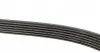 6PK2170 Ремінь генератора MB Vito OM611 (+AC) DAYCO підбір по vin на Brocar