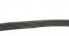 6PK780 Ремень генератора Citroen C2/C3 1.4HDi 02-/C4/Peugeot 206 CC/207/307 1.6HDi 03-15 (6PK780) DAYCO підбір по vin на Brocar