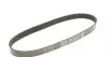 6PK780 Ремень генератора Citroen C2/C3 1.4HDi 02-/C4/Peugeot 206 CC/207/307 1.6HDi 03-15 (6PK780) DAYCO підбір по vin на Brocar
