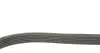 6PK873EE Ремень генератора Citroen Jumper/Peugeot Boxer 2.0/2.2HDi 04- (-AC)/Opel Movano 2.5D DAYCO підбір по vin на Brocar