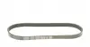 6PK873EE Ремень генератора Citroen Jumper/Peugeot Boxer 2.0/2.2HDi 04- (-AC)/Opel Movano 2.5D DAYCO підбір по vin на Brocar