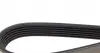 6PK950 Ремінь генератора VW Caddy III 1.9-2.0 TDI 04-10 DAYCO підбір по vin на Brocar