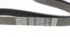 7PK1076 Ремінь генератора Fiat Ducato 2.3JTD 02- DAYCO підбір по vin на Brocar