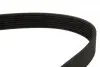 7PK1759 Ремінь генератора BMW 7 (E65) 4.0/4.5D 02-08/Honda Accord/Civic 2.0 01-08 DAYCO підбір по vin на Brocar