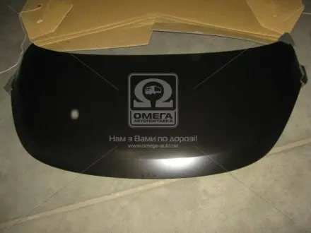 0270247280 Капот HYUN i10 (пр-во TEMPEST) TEMPEST підбір по vin на Brocar