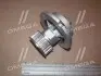 Насос водяний (пр-во ONNURI) GWPD-011