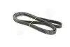 Ремень поликлин. (пр-во SKF) VKMV5PK1885