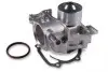 Помпа воды Subaru Forester/Impreza 1.6-3.3i 89-13 P1720