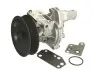 Помпа воды Ford Transit 2.4DI 00- P248